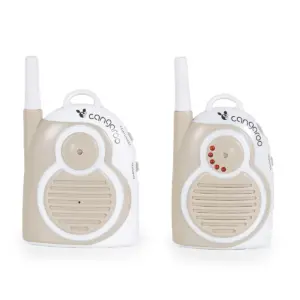 Audio alarm